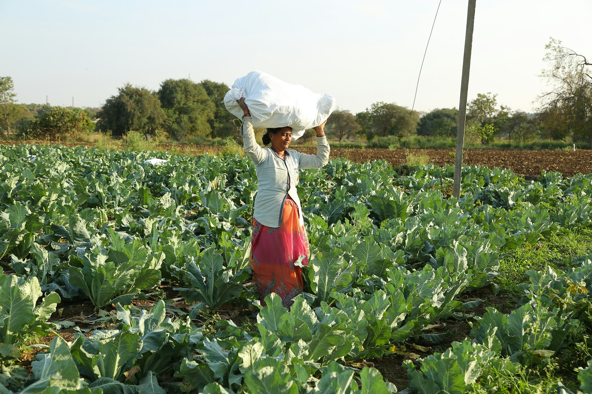 a woman carrying a bag on her head in a field